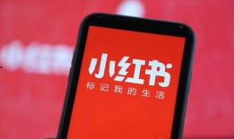 小红书爆料官方入口最新,最新玩法与福利一览”